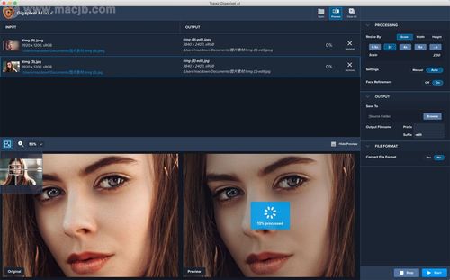 topaz gigapixel ai for mac(人工智能图片放大软件)
